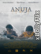 Anuja (2024 ) Netflix Hindi Web Series Download