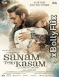 Sanam Teri Kasam (2016) Bollywood Old Hindi Movie Download