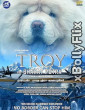 Troy the Bharat Putra 2024 Bollywood Hindi Movie Download
