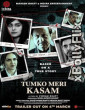 Tumko Meri Kasam (2025) Bollywood Hindi Movie Download