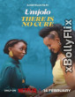 Umjolo: There is No Cure (2025) Netflix Hindi Web Series Download