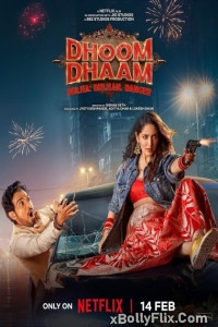 Dhoom Dhaam (2025) Netflix Web Series Download